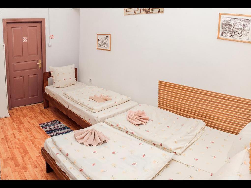 Apple Hostel 리비프 외부 사진